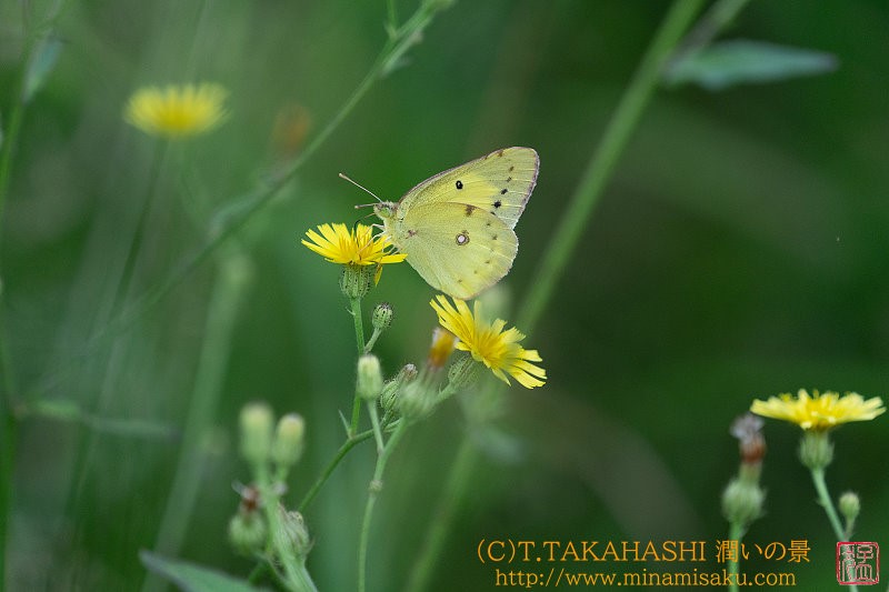 ../Images/7R240804 (217).jpg